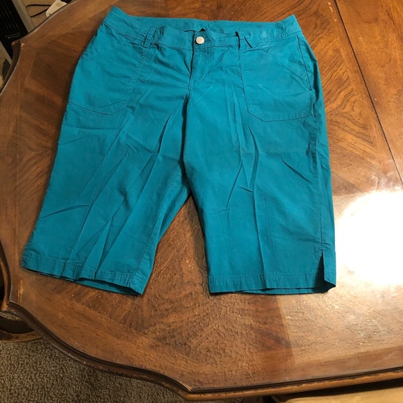 Lane Bryant Shorts - Picture 2 of 6